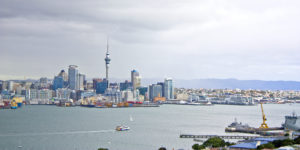 View from the auckland city tour