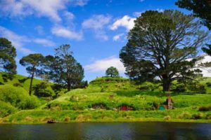 Hobbiton movie set on a auckland to hobbiton tour