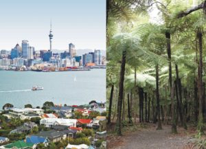 Auckland city tour and nature tour