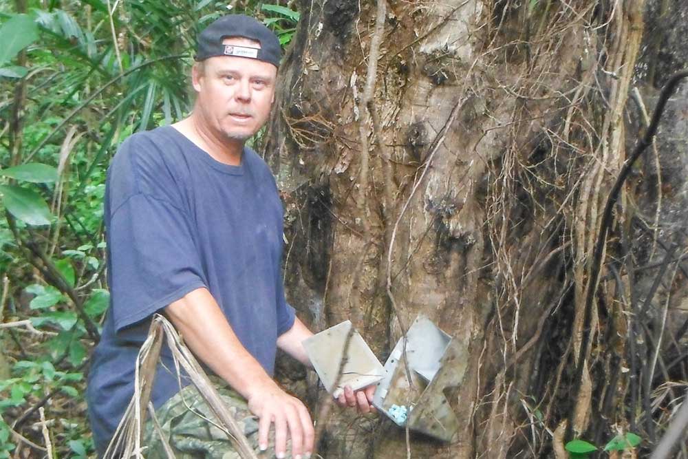 Pest control at Piha