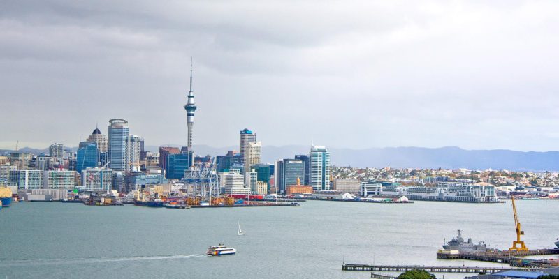 view of auckland city on the bush and beach auckland city tour