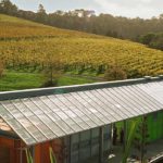 Matakana wine tour from Auckland - Brick bay