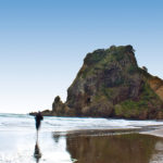 piha beach small group nature tour