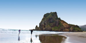 piha beach small group nature tour