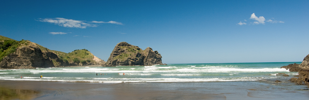 piha beach nature tour