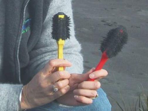 piha beach