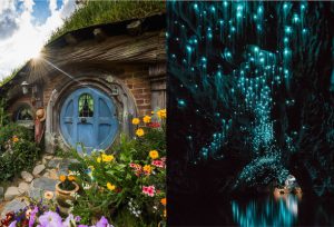 Hobbiton and Waitomo caves tour from Rotorua to Auckland