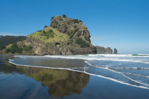 Piha beach on a nature tour from Auckland