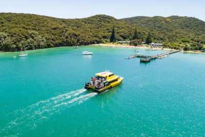Bay of islands tours