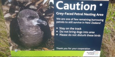 Petrel Sign