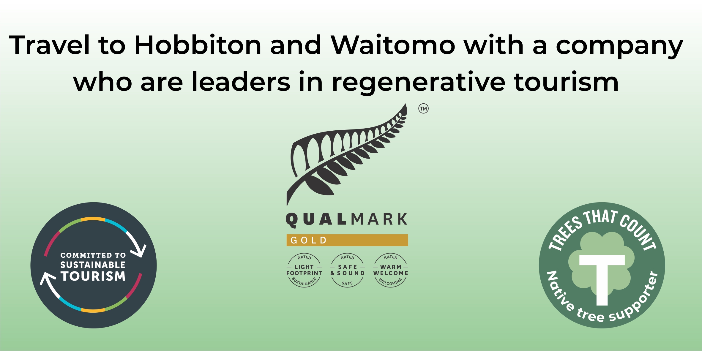 Hobbiton and Waitomo with a regenerative tourism company